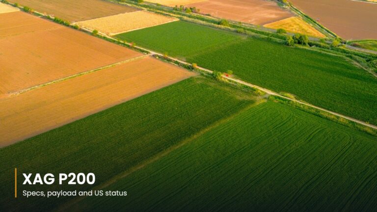 Aerial view of green farm fields